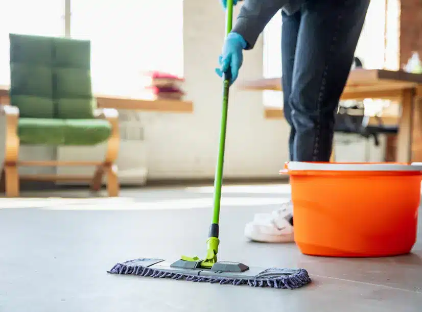 La limpieza del entorno laboral - Misión Servir